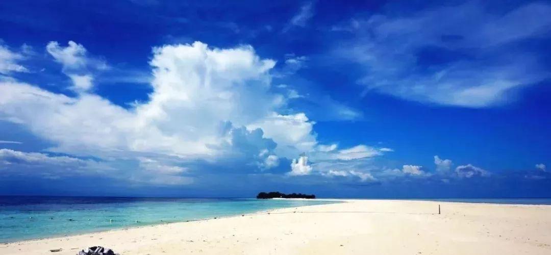 小僵尸射飞鸟