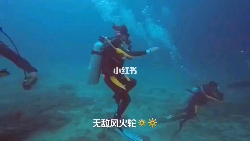 功夫熊猫3手游